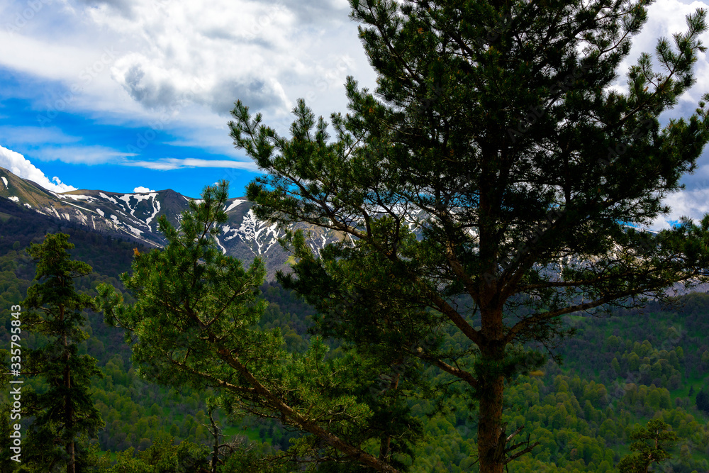 Beautiful mountain panorama with lush greens, blue skies, and puffy clouds