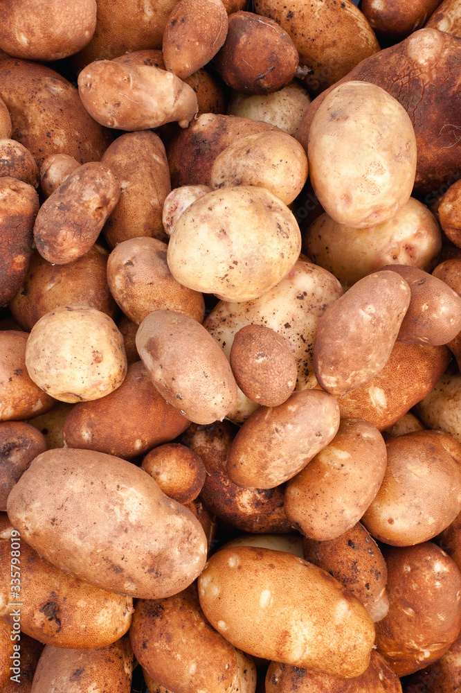 Heap of potatoes in farmers' market Heap of potatoes in farmers' market