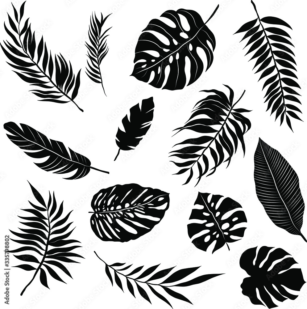palm leaves set pattern black and white vector palm leaves set pattern black and white vector