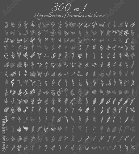 Big doodle collection of 300 hand-drawn branches and leaves. Big floral botanical leaves and brunches set isolated on a white background. Hand drawn vector collection. Spring blossom