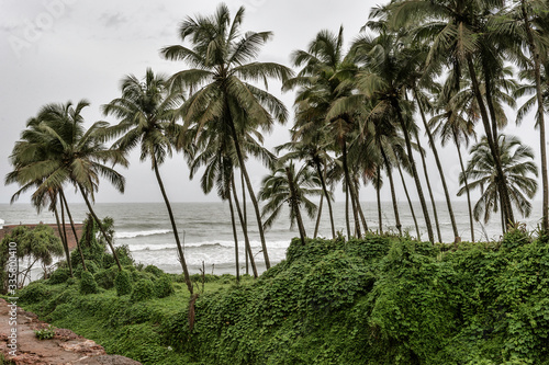 Fototapeta Naklejka Na Ścianę i Meble -  Beautiful beach. Palm trees in the monsun rain. Rain season. Goa off season. Aguada Fort - North Goa, India.