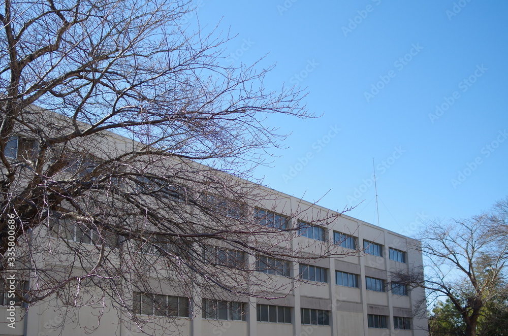 白いビルと青空