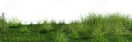 Fotografiet 3D illustration of bush lush on green grass field