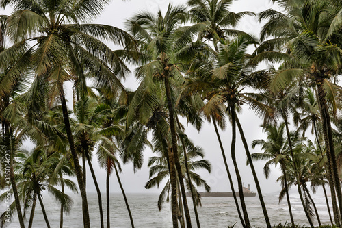 Beautiful beach. Palm trees in the monsun rain. Rain season. Goa off season. Aguada Fort - North Goa  India.