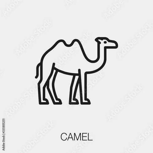 camel icon vector sign symbol