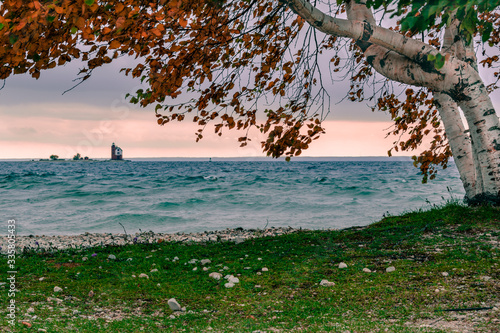 Looking under a birch tree at Round Island Lighthouse from Mackinac Island