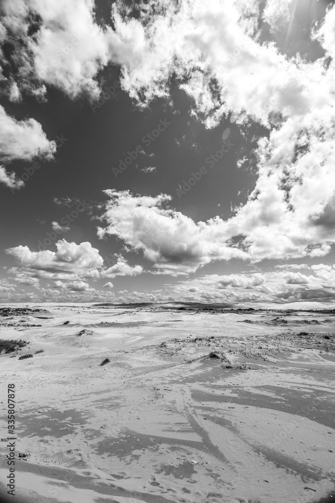 Pustynna plaża