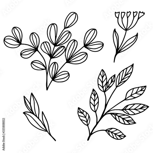 Vector images on a white background in a linear style, leaves and flowers for the decoration of covers, coloring books, botanical illustrations, packaging