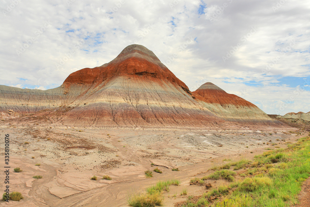 Petrified Forest National Park in Arizona named for its large deposits of petrified wood Petrified Forest National Park in Arizona named for its large deposits of petrified wood