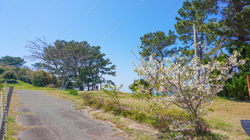 Fototapeta premium 志賀島の海岸の風景