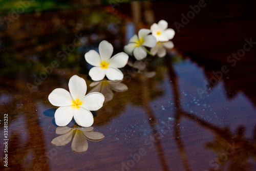 The composition of flowers frangipani on the table with reflection.