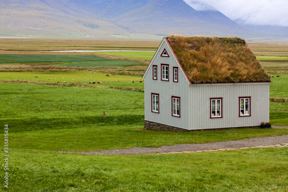 Landscape with typical house in Iceland, Europe.