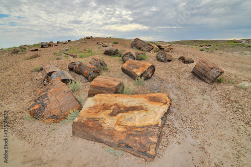 Petrified Forest National Park  in  Arizona named for its large deposits of petrified wood photo