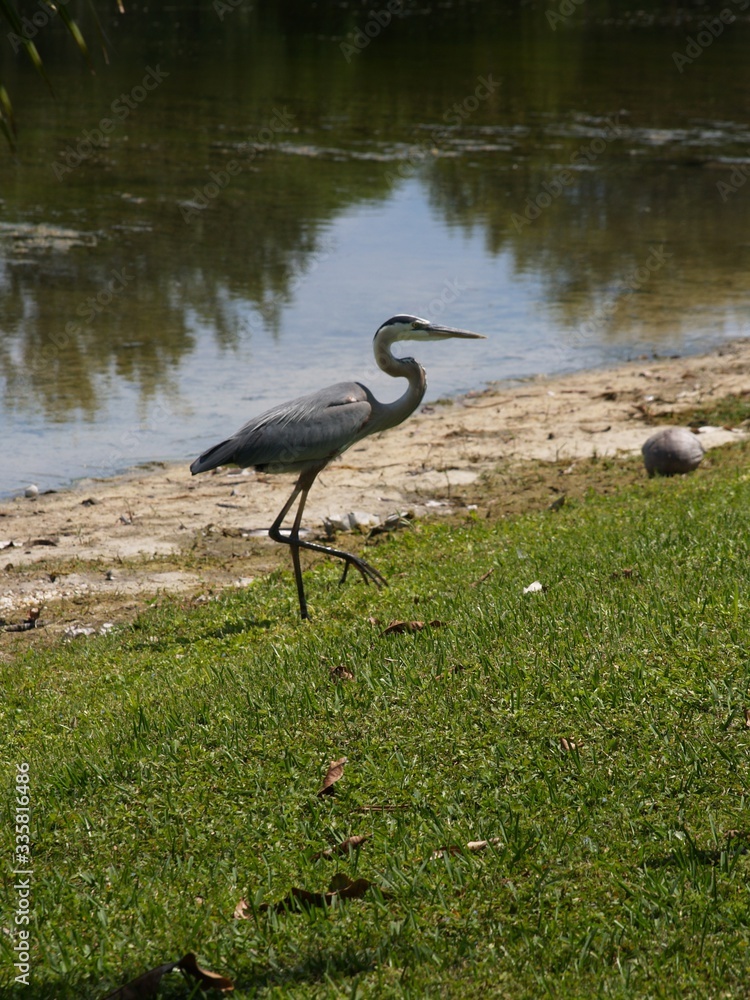 Obraz premium OLYMPUS DIGITAL CAMERA