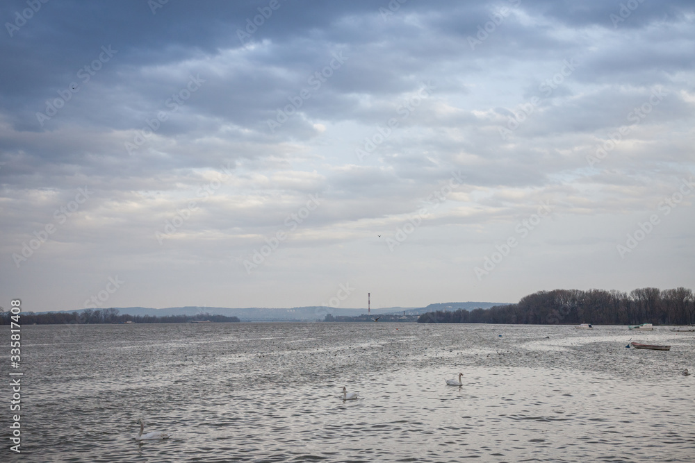 Belgrade under the rain seen from Zemun, on Zemunski kej, with an industrial chimney in background in front, on the Danube river, and swans standing in front