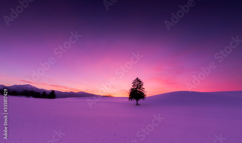 Furano hill scenery with gorgeous pink sky