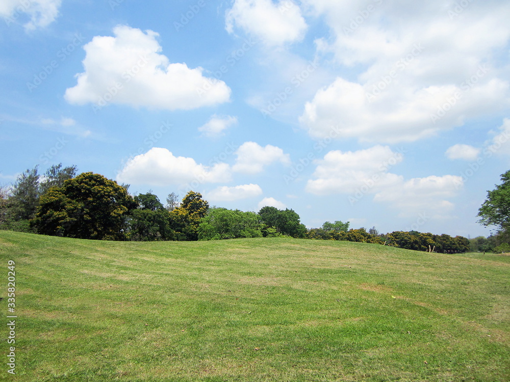 Open space and abundant trees