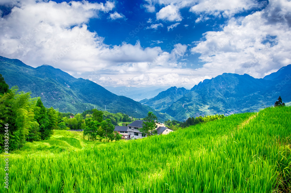 Yunhe china cloud rice terrace landscape Yunhe china cloud rice terrace landscape