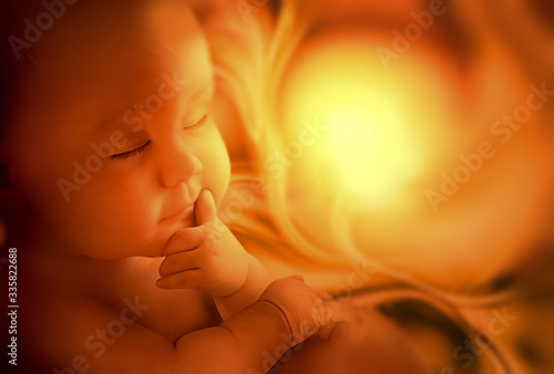 Canvas-taulu Embryo inside mother