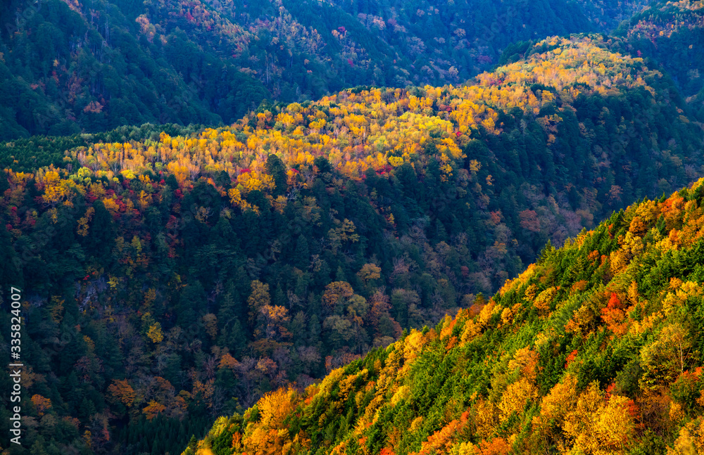 autumn mountain view