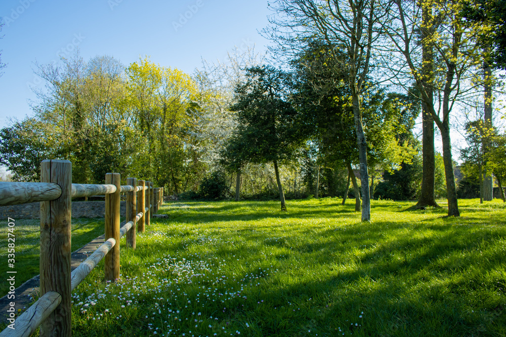 View of a wooden fence in a park. Garden with trees and vegetation in spring. Sunny landscape with a lawn.