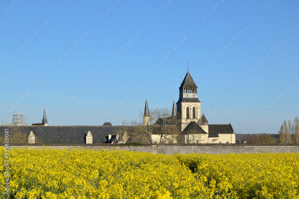 Abbaye de Fontevraud et champ de colza