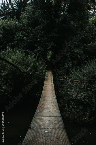 Fototapeta Naklejka Na Ścianę i Meble -  bridge in the woods