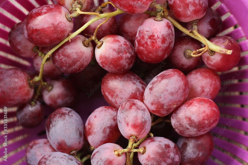 Fresh red grapes on the table macro Fresh red grapes on the table macro