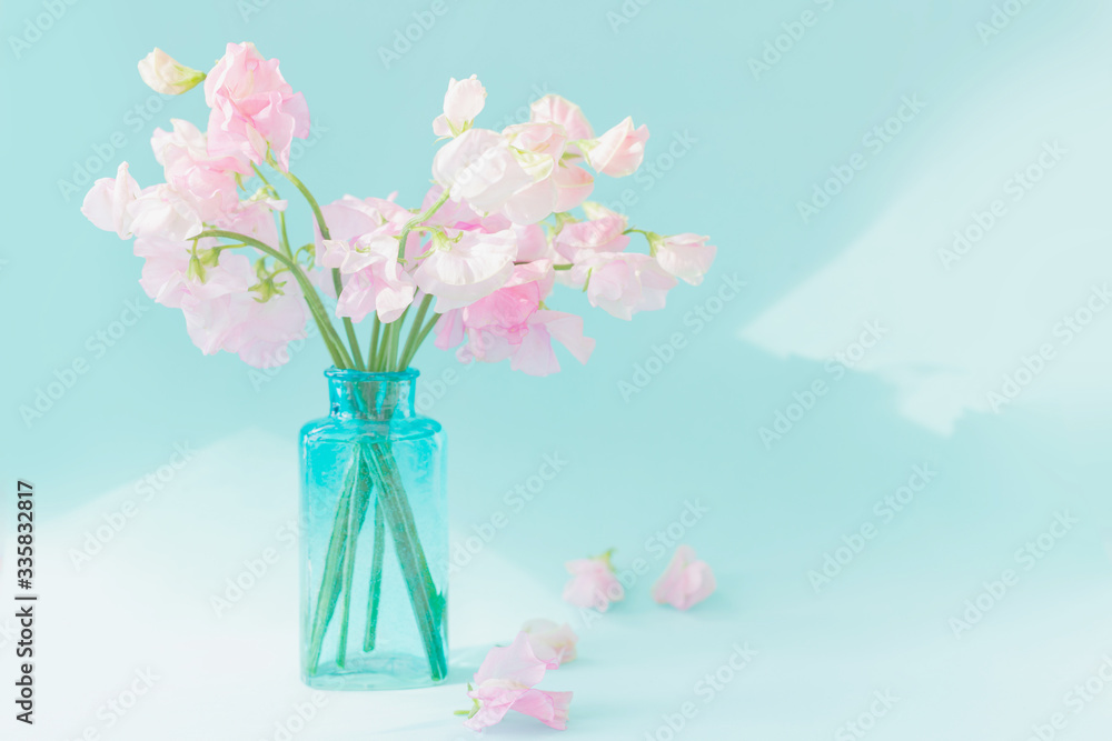 custom made wallpaper toronto digitalBouquet of soft pink sweet peas Lathyrus in beautiful transparent vase on blue background.Copy space.Spring concept.Postcard for International Women's Day on March 8, Valentine's Day,14 of February