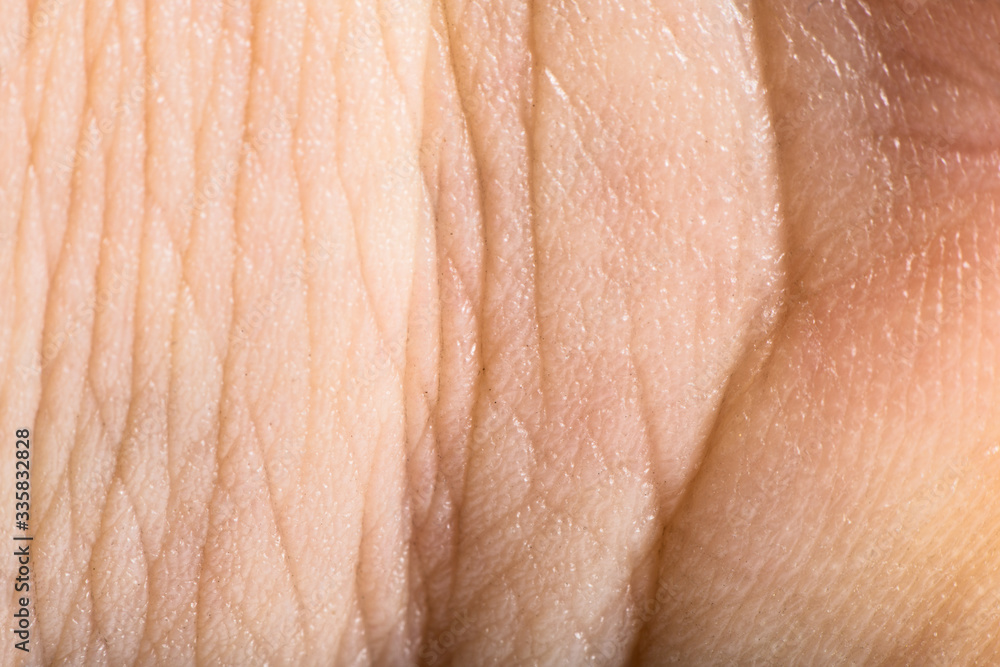Close up human skin. Macro epidermis Close up human skin. Macro epidermis