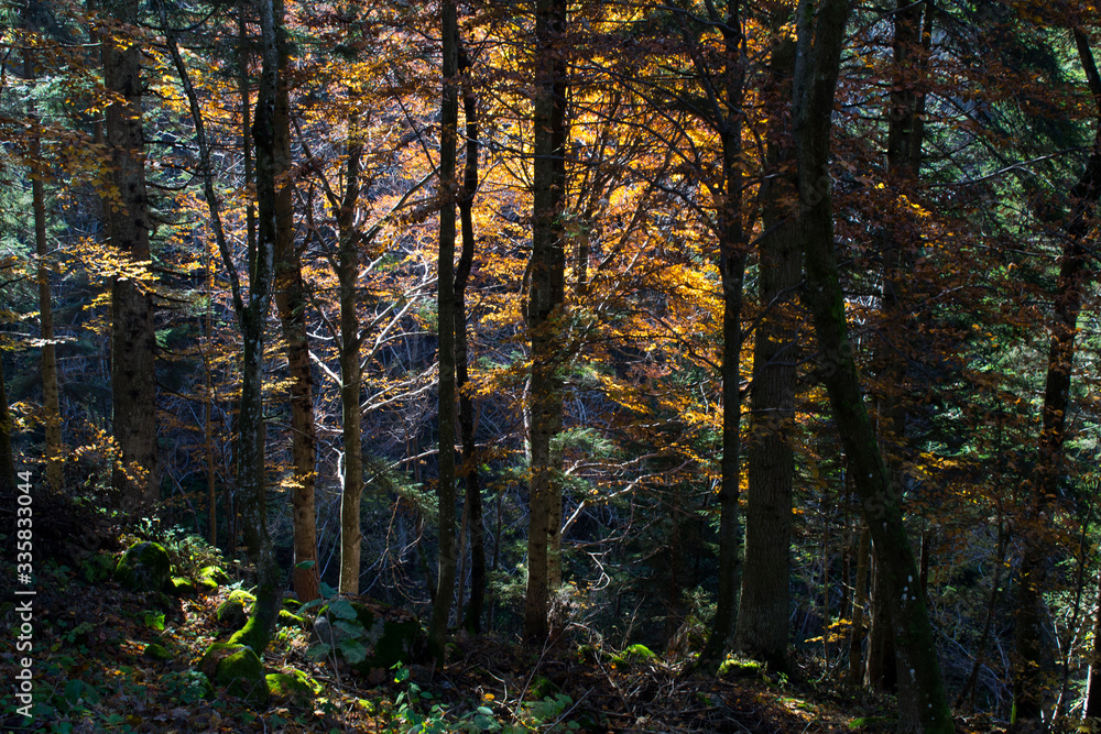 autumn photo trip to Pian delle Gorre in Valle Pesio