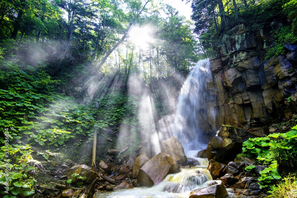 Fototapeta premium waterfall in the forest with light beam