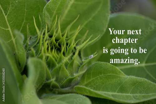 Inspirational quote - Your next chapter is going to be amazing, With young baby sunflower ready to bloom as illustration. Motivational words with nature green background.