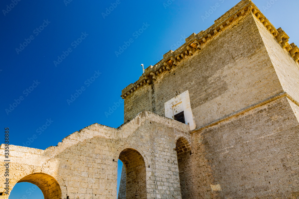 The wonderful bay of Porto Selvaggio. In Nardò, Italy, Puglia, Salento. Torre dell'Alto, the watchtower on the top of the promontory. Brick and stone construction. The blue sky in summer.