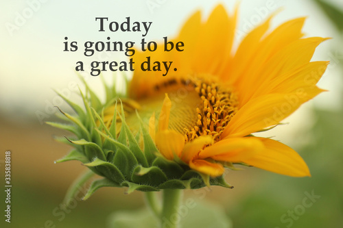 Inspirational quote - Today is going to be a great day. With young sunflower in bloom in the garden closeup. Self affirmation words concept with nature yellow flower blossom background.