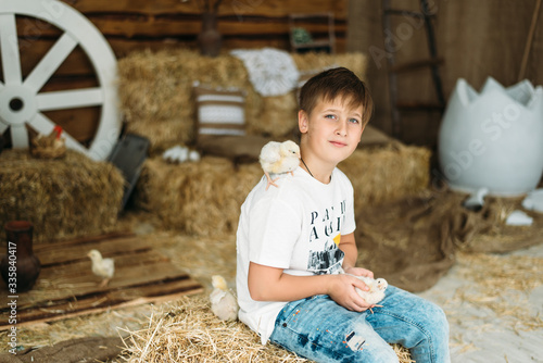 little boy sitting on a bench with a chickens