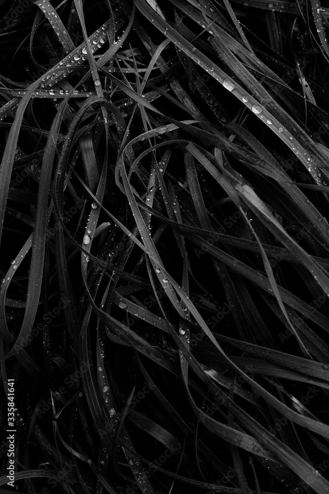 abstract black background abstract black background