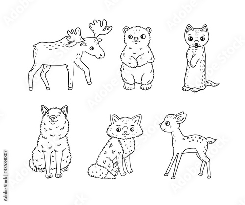 Fototapeta Naklejka Na Ścianę i Meble -  Cute doodle forest animals. The vector children's illustration set on white background