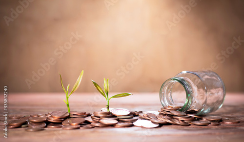 Thai currency coins and young shoots of plants on trees and put on the table are not old.