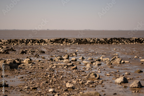 View of the mud flats