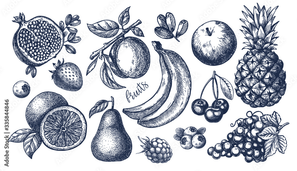 Berries and fruit big set. Hand drawing. Vintage. Black and white ...