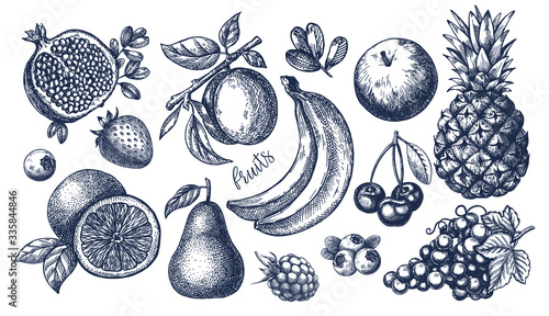 Berries and fruit big set. Hand drawing. Vintage. Black and white. Vector.