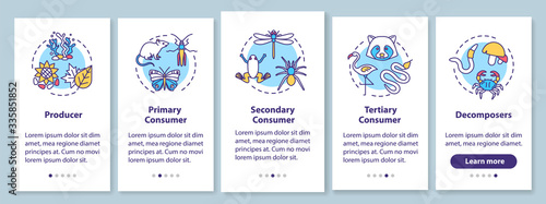 Grazing food chain onboarding mobile app page screen with concepts. Biological energy transferring process walkthrough 5 steps graphic instructions. UI vector template with RGB color illustrations