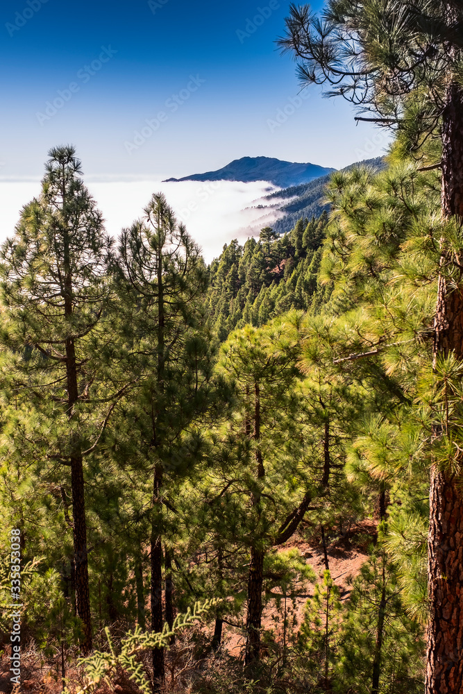 Beautiful landscape of the mountains under clouds in La Palma, Canary Islands, Spain