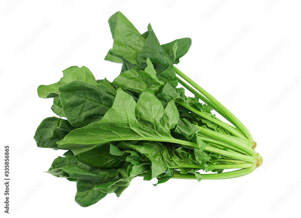 close up on fresh spinach isolated on white background close up on fresh spinach isolated on white background