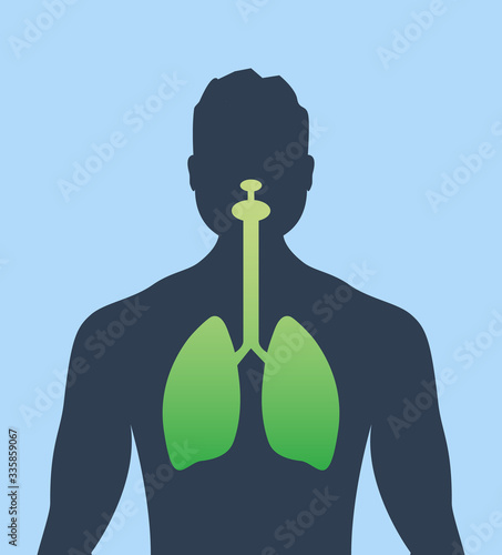 Lung human icon, respiratory system healthy lungs anatomy flat medical organ icon
