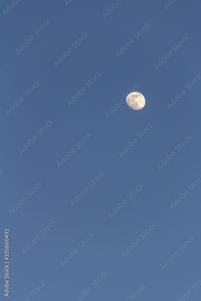 moon in the blue sky moon in the blue sky
