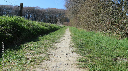 Waldweg, Elfringhauser Schweiz, ElfringhauserSchweiz,  Wuppertal, Hattingen, Sprockhövel, Bergischesland, Bergisches Land, Ruhrgebiet, Ruhrpott, wandern, Wanderlust, Deutschland photo