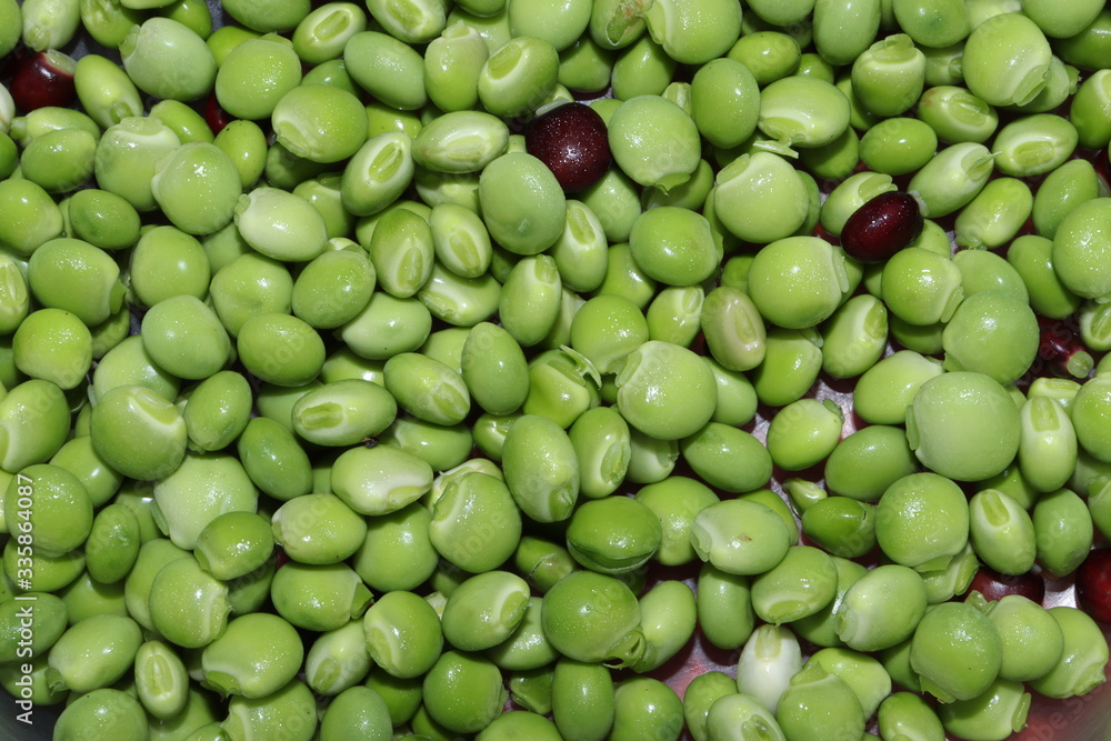 green organic grains green organic grains