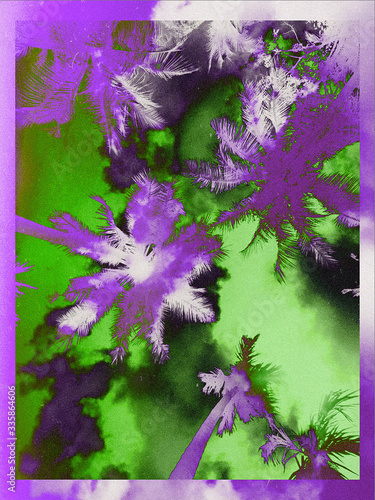 Illustration of palm trees